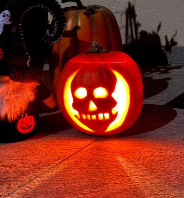 Kürbis „Pumpkin Jack“
