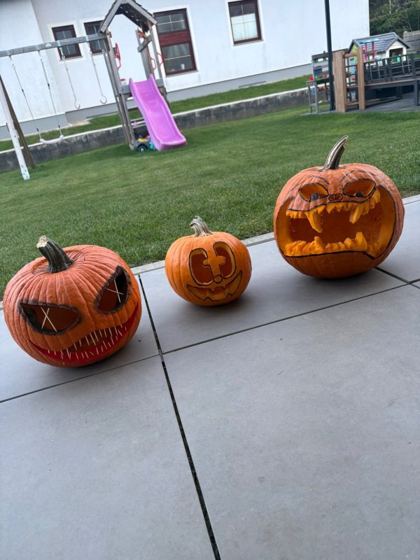 Kürbis „Kürbzilla, Pumpkin Pie & Lord Höllenbiss“